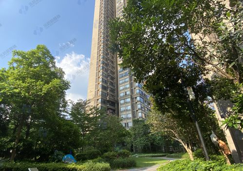 番禺房产怎么拍卖的啊