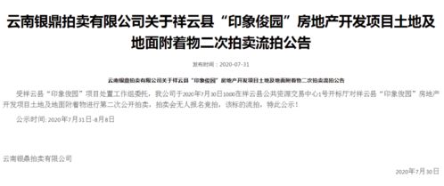 房产拍卖项目怎么查询结果