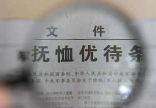 调查逝者房产情况怎么写 调查逝者房产情况怎么写