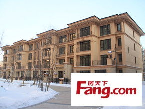 杜塞房产经理怎么样