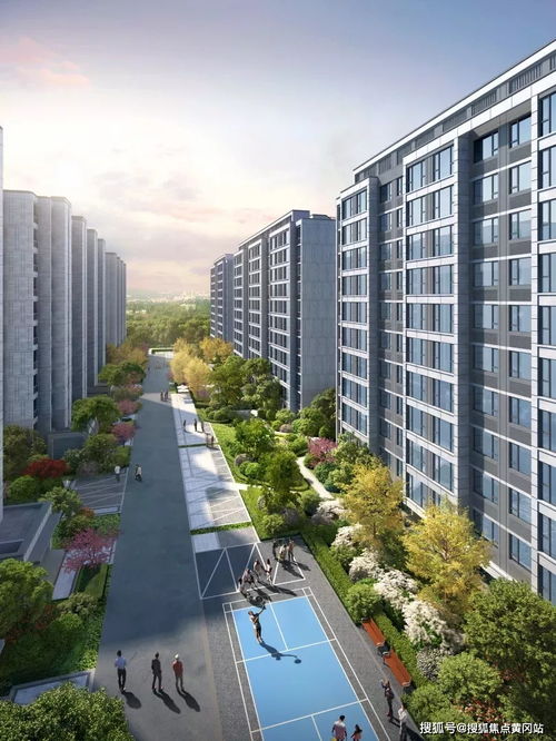 房产达人怎么买地砖好