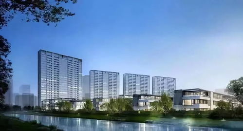 房产新手怎么做直播