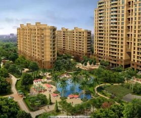 居住信息房产类型怎么填