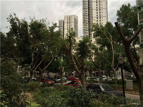 苏州无房产上学怎么上