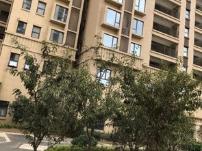 黎平大地房产怎么样