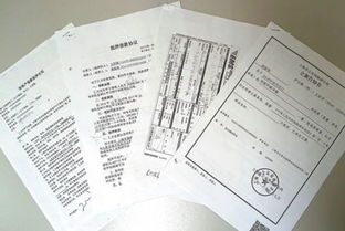 房产官司败诉怎么办理