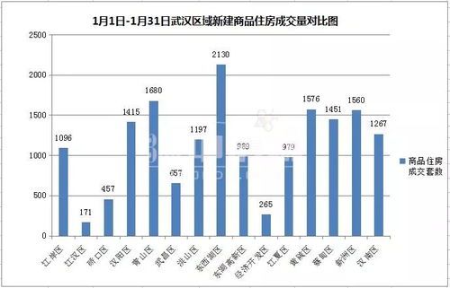 公租房房产数量怎么填