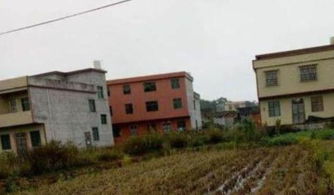 违建房产怎么办