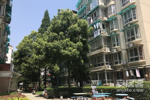 森强房产怎么样