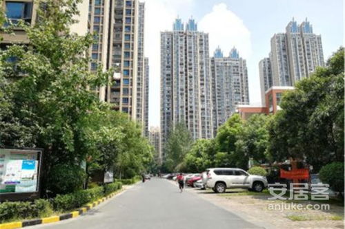 滨鼎房产怎么样