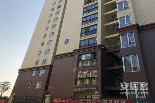 黎明房产实业怎么样