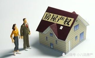 住房产权归属怎么填