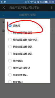 高级在线预约房产怎么填写