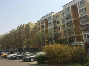 龙锦房产怎么样