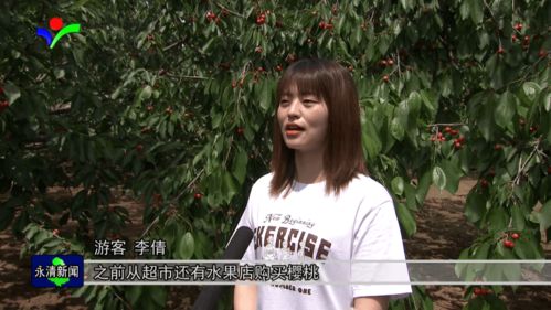 马家房产转移怎么办理