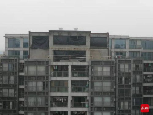 房产顶楼违建怎么办