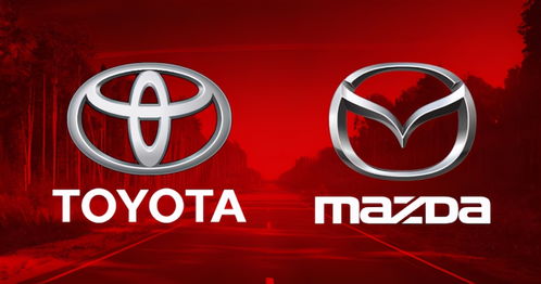 红军路房产政策怎么选择