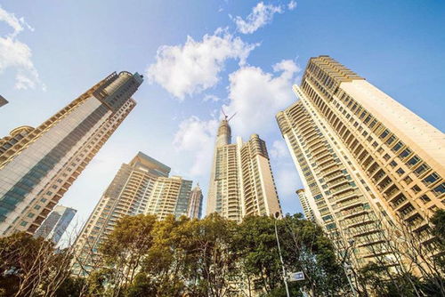 做房产怎么打造人设