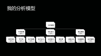 专业分析房产项目怎么写