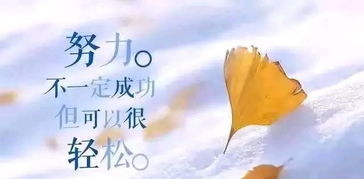 房产人晚安句子怎么写