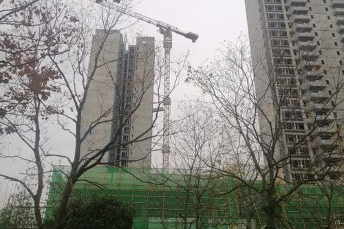 东门华润房产怎么样