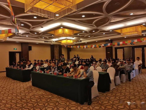 房产大客厅文案怎么写