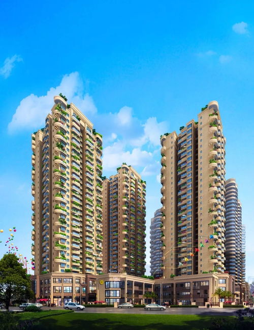 房交所怎么查房产