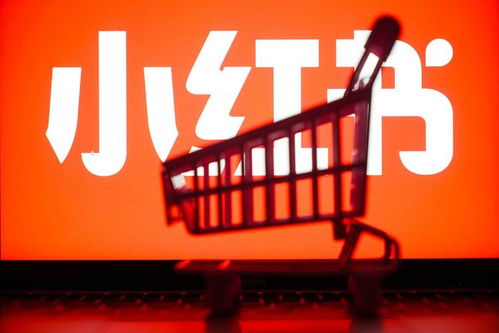 小红书房产怎么官方认证 小红书房产怎么官方认证