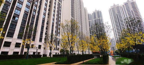 赣州市怎么查房产