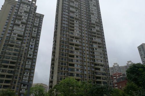 长投房产怎么样