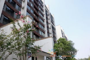 志城房产怎么样