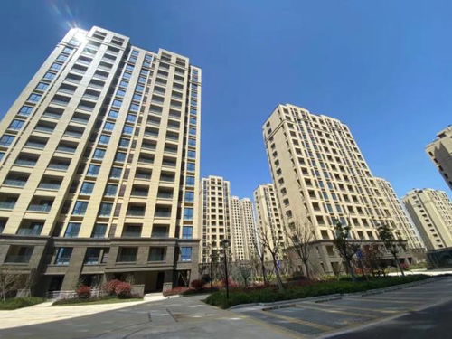 房产销售怎么进小区