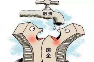 房产填少了 检查怎么写