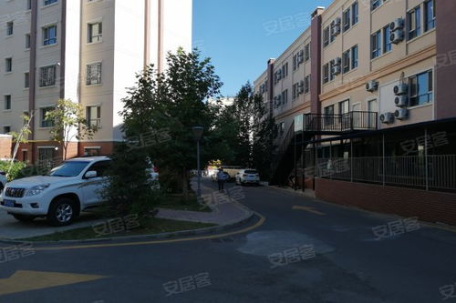 伊犁房产行业怎么样