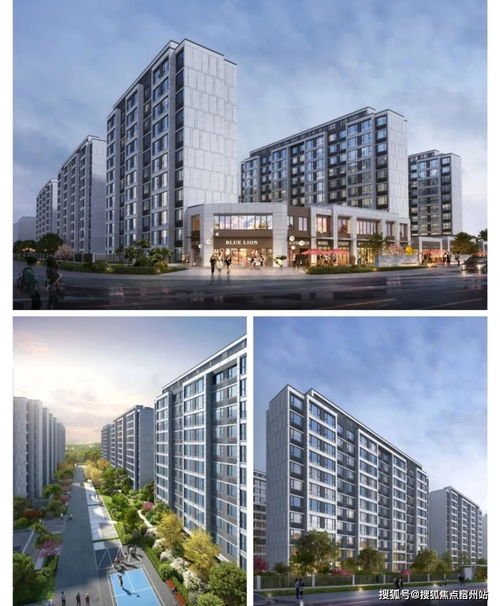 房产位置确定怎么写文案