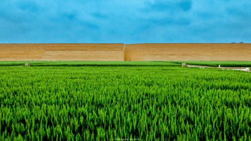 长沙房产消费券怎么领