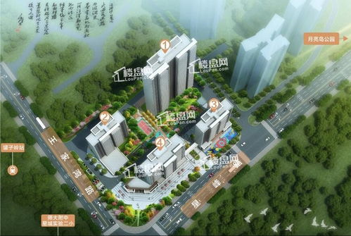 长沙房产消费券怎么领