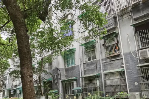 房产老板福利怎么样