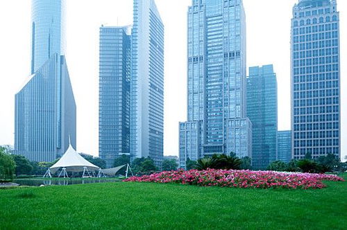 房产职业背债人怎么操作