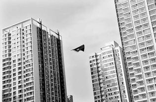 忻州怎么查名下房产