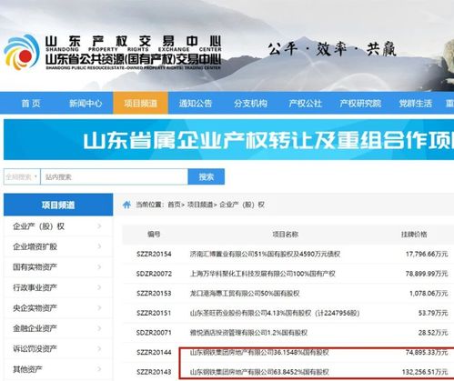 怎么查询国有企业房产