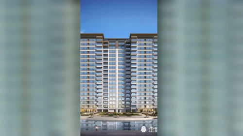 绥化怎么查名下房产