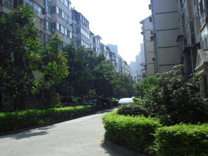 小区房产信息怎么查