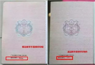 房产证要怎么打印