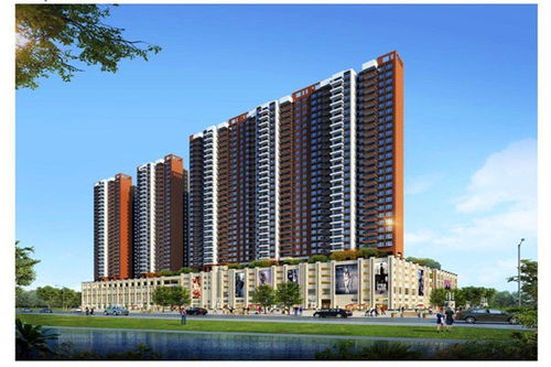 博罗怎么查房产信息