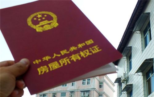 怎么查看房产证入网