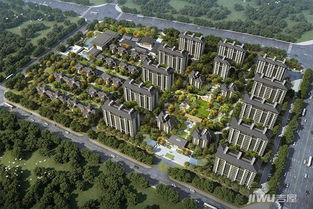 秦皇岛飞越房产怎么样