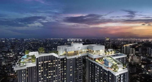 乐至房产投资怎么样