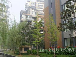 合肥房产租赁怎么样