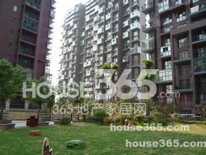 合肥房产租赁怎么样